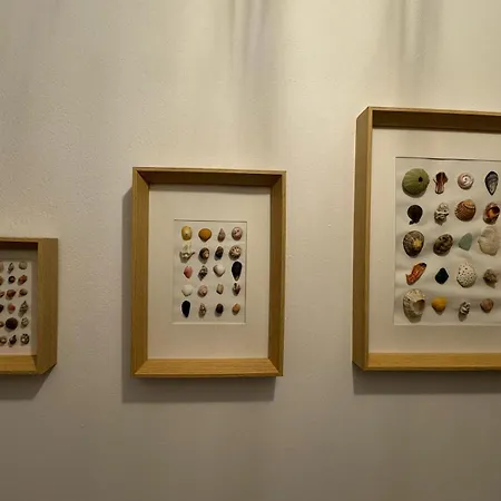 Parada En El Camino 2 * Finisterre