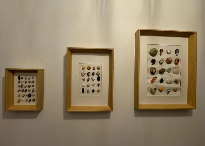 Parada En El Camino 2 * Finisterre